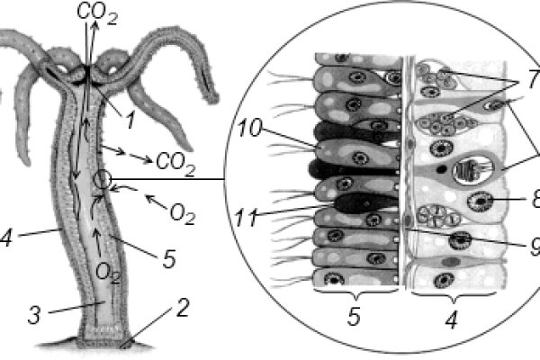 Kraken13at